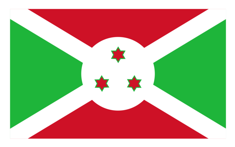 Registrazione domini con estensione: .bi