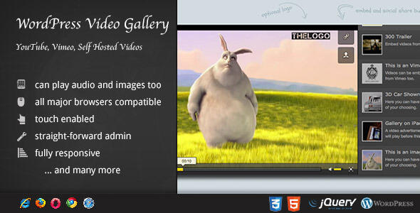 preview wordpress youtube video gallery