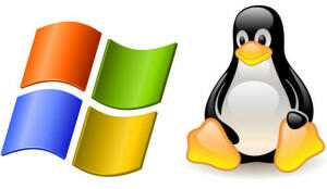 Meglio un hosting Windows o uno con Linux: come scegliere