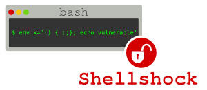 Falla ShellShock spiegata in modo semplice: quali sono i rischi per gli utenti?