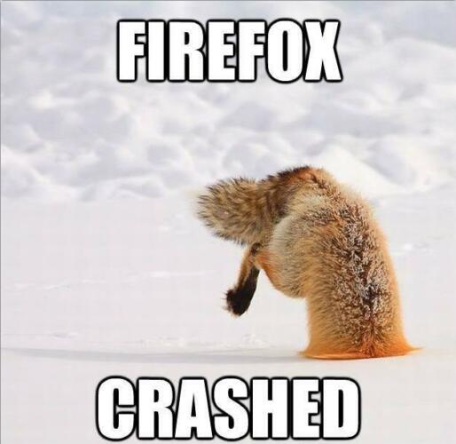 Firefox crashed