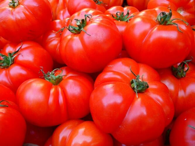 tomatoes 5356 960 720