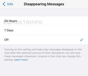 24 HOURS DISAPPEARING MESSAGES IOS 768x663 1