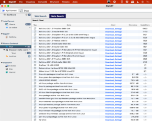 biglybt screenshot download file torrent